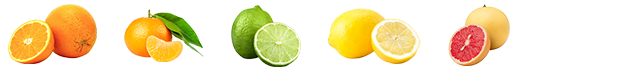 Tipo de fruta: Orange, mandarine, citron, citron vert, pamplemousse